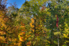 High Dynamic Range